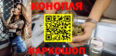 сатива Малгобек